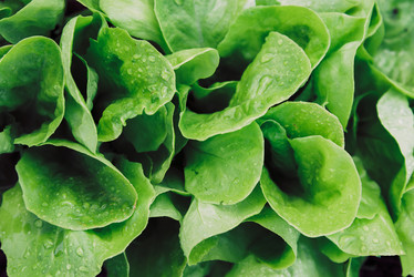 Similar image 8586959