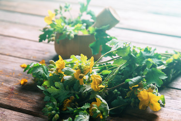 Similar image 8586960