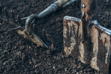 Similar image 8586961