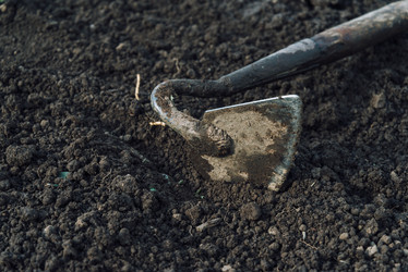 Similar image 8586963