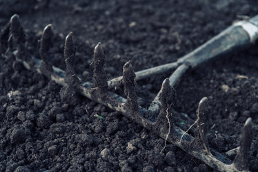 Similar image 8586965