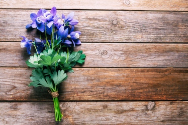 Similar image 8586975