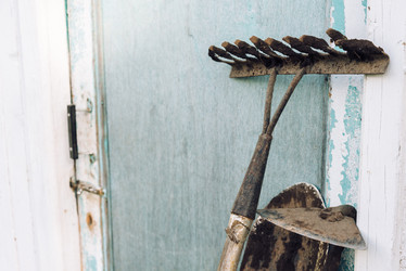 Similar image 8586976