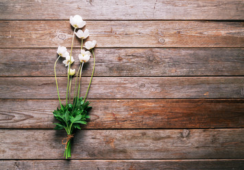 Similar image 8586983