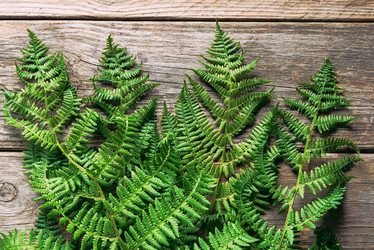 Similar image 8587000