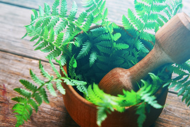 Similar image 8587001