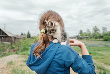 Similar image 8587017