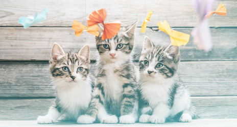 Similar image 8587025