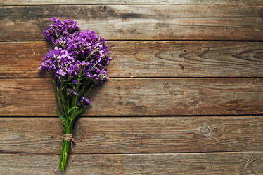 Similar image 8587036