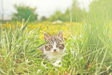 Similar image 8587059