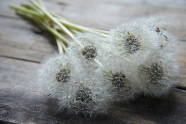 Similar image 8587068