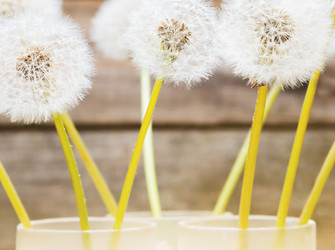 Similar image 8587069