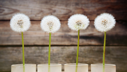 Similar image 8587070