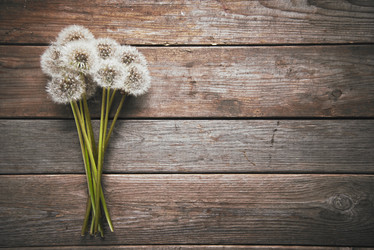 Similar image 8587071