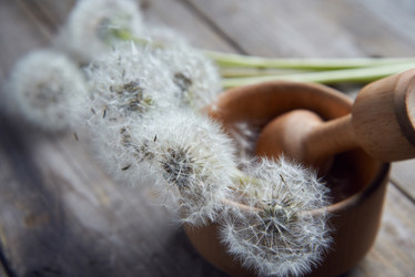 Similar image 8587072