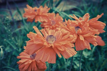 Similar image 8587073