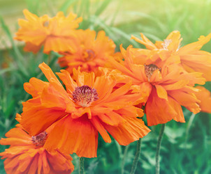 Similar image 8587078