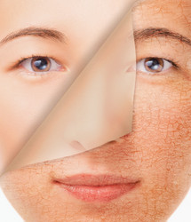 Similar image 8587086