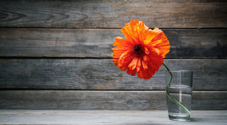 Similar image 8587093