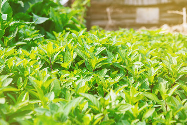 Similar image 8587095