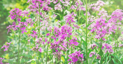 Similar image 8587096