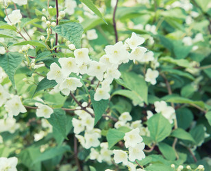 Similar image 8587098