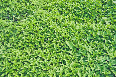 Similar image 8587179