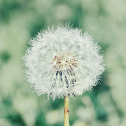 Similar image 8587180