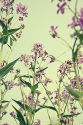 Similar image 8587181