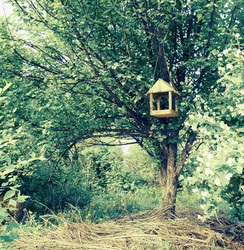 Similar image 8587184