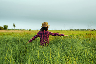 Similar image 8587192