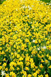 Similar image 8587319