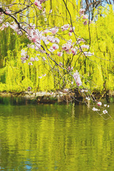 Similar image 8587321