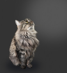 Similar image 8587353