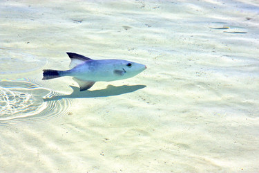 Similar image 8587383