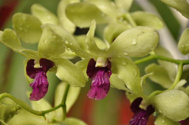 Similar image 8587392