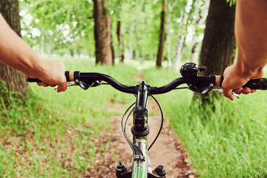 Similar image 8587407