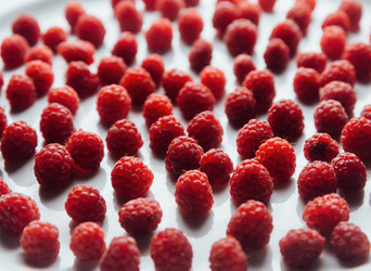 Similar image 8587512