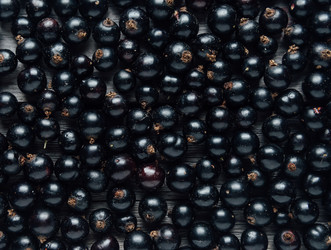 Similar image 8587517