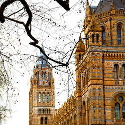 Similar image 8587538