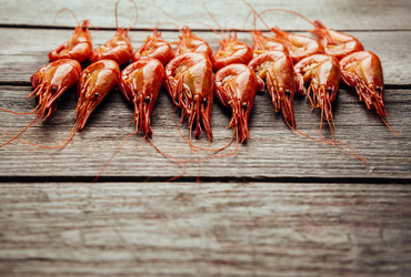 Similar image 8587561