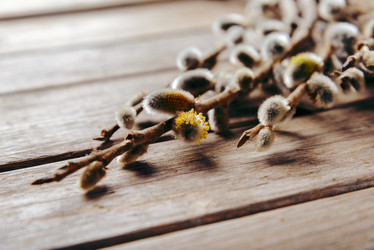 Similar image 8587611