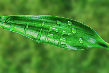 Similar image 8587614