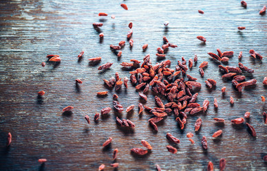 Similar image 8587638