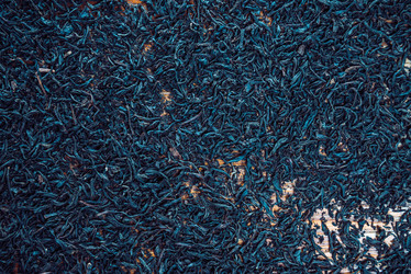 Similar image 8587660