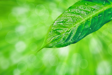 Similar image 8587662