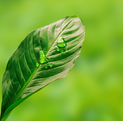 Similar image 8587663