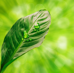 Similar image 8587666