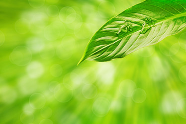 Similar image 8587668