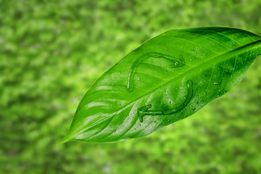 Similar image 8587671